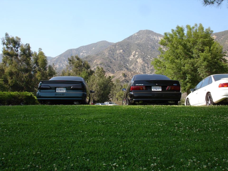 1993 Ford Taurus sedans parked on grass, rear view