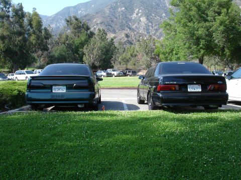 1993 Ford Taurus - Two Ford Taurus sedans, a green one and a black one, are parked in a lot with mountains in the background.