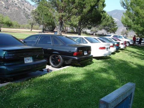 1993 Ford Taurus - Several cars are parked in a grassy area with trees and mountains in the background.