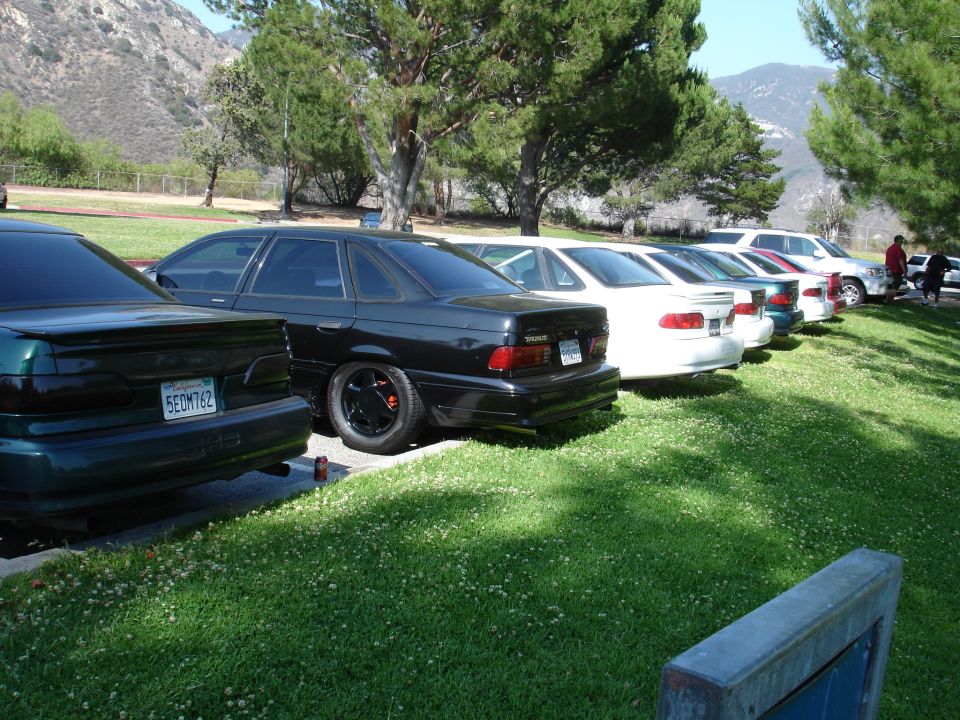 Black Ford Taurus parked in a line with other cars. License plate 5ECM762