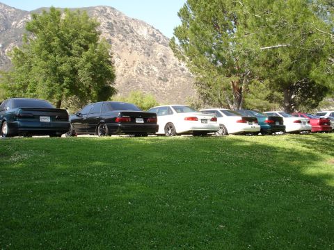 1993 Ford Taurus - Several sedans are parked in a row on a grassy area with a mountain range behind them.