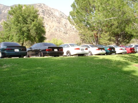 1993 Ford Taurus - Multiple sedans are parked in a row on a grassy area with trees and a mountain in the background.
