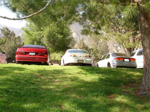 1993 Ford Taurus - Three sedans, including a 1993 Ford Taurus, are parked on a grassy incline under trees.