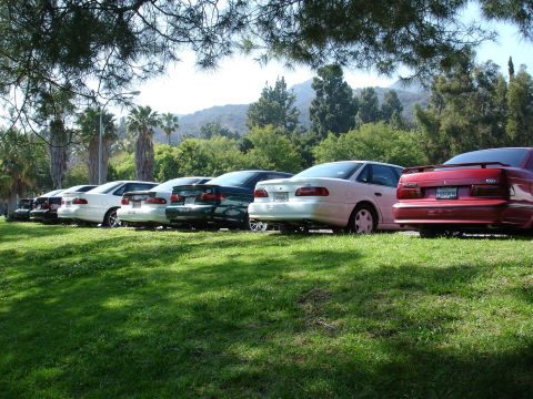 1993 Ford Taurus - A line of sedans are parked on a grassy slope under the shade of trees, with hills in the distance.