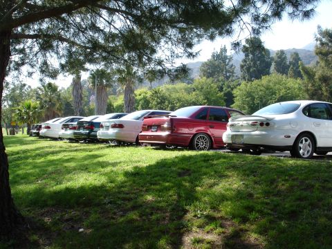 1993 Ford Taurus - Several sedans are parked in a row on a grassy area under trees.