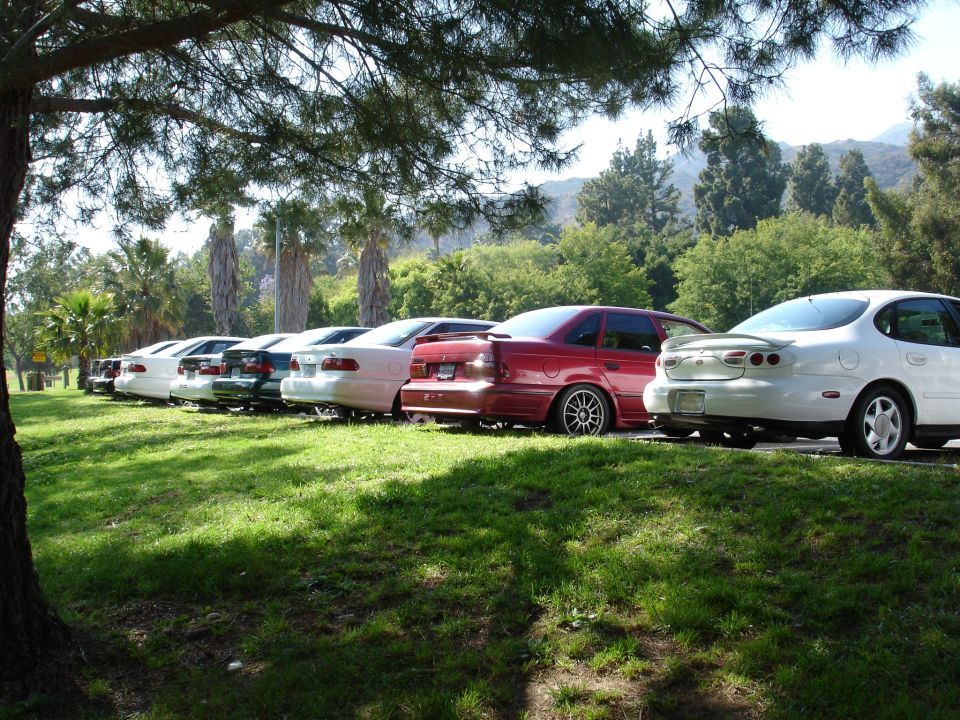Red sedan and white sedan parked on grass, rear view