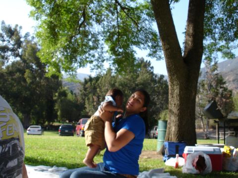 1993 Ford Taurus - A woman holds a baby during a picnic in a park, with several vehicles parked in the background.