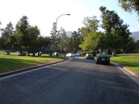 1993 Ford Taurus - A black sedan is parked on the side of a road in a park-like setting, with a speed limit sign visible.