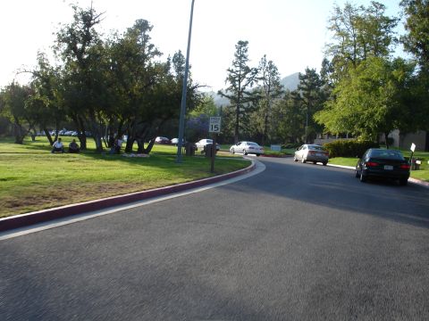 1993 Ford Taurus - A street scene with multiple vehicles and pedestrians enjoying a sunny day in a park-like setting.