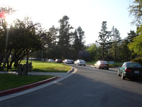 1993 Ford Taurus - Cars are seen driving on a road in a park-like setting with trees and grass.