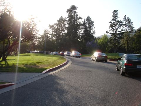 1993 Ford Taurus - A line of cars travels down a road in a park-like setting with trees and a grassy embankment.