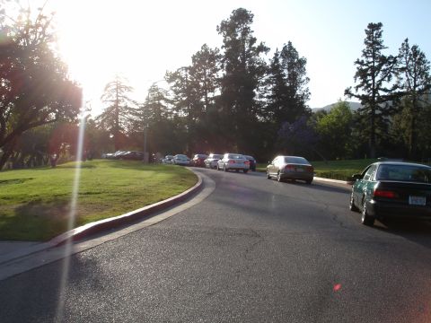 1993 Ford Taurus - A line of cars are seen on a road in a park-like setting under a bright sun.
