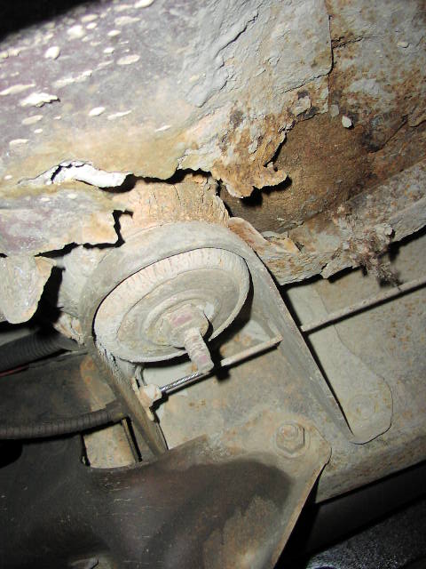 1981 Ford Bronco - drivers side