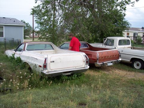 1972 Ford Ranchero - Three pickup trucks, including a 1972 Ford Ranchero, sit in a grassy area.