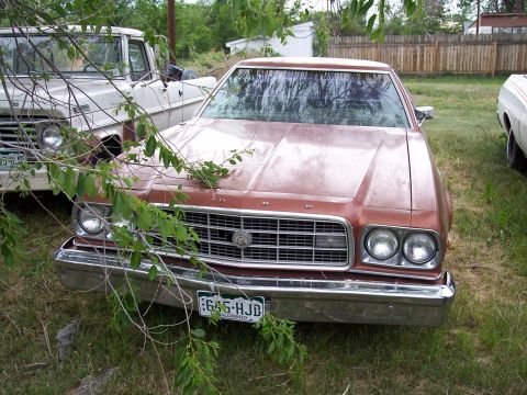 1972 Ford Ranchero - A 1972 Ford Ranchero is parked outdoors, partially obscured by tree branches, next to another vehicle.