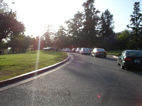 1993 Ford Taurus - Multiple vehicles are parked or driving in a line on a paved road with a grassy area to the left.