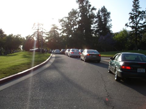 1993 Ford Taurus - A line of cars are stopped on a road, with trees and a grassy hill in the background.