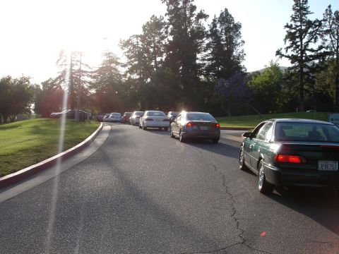 1993 Ford Taurus - A line of cars drives down a road lined with trees and grass.