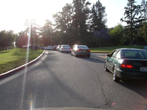 1993 Ford Taurus - A line of cars on a road with trees and grass.