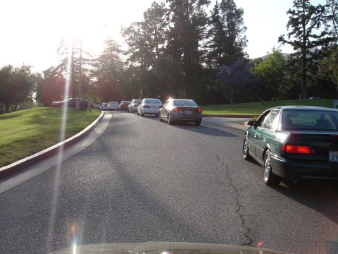 1993 Ford Taurus - A line of cars are seen on a road during a sunny day, with trees and grass bordering the scene.