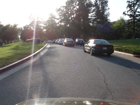 1993 Ford Taurus - A line of cars are parked on the side of a road with trees and grass surrounding the area.