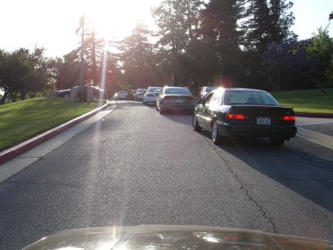 1993 Ford Taurus - A line of cars are driving down a road with trees and a grassy hill on the side.