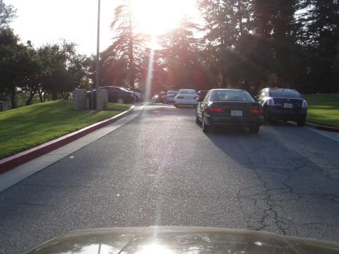 1993 Ford Taurus - Several cars are parked on a road with trees and a grassy hill in the background.