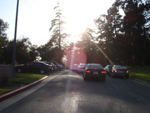 1993 Ford Taurus - Several cars are parked in a lot, with the sun shining brightly through the trees.