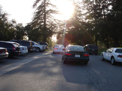 1993 Ford Taurus - Several cars are parked in a lot with trees and sun glare in the background.
