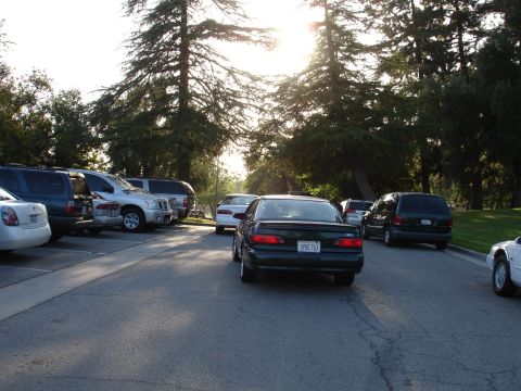 1993 Ford Taurus - A dark sedan is parked in a lot with other vehicles under tall trees during the day.