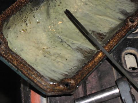 1981 Ford Bronco - A close-up view of a heavily sludged engine oil pan gasket, indicating potential internal engine issues.