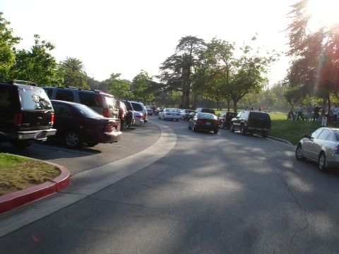 1993 Ford Taurus - A sunny day at the park with many vehicles and people enjoying the outdoors.
