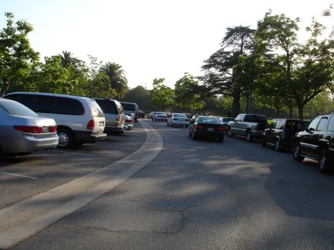 1993 Ford Taurus - A variety of vehicles are parked in a lot under a bright sky with trees in the background.