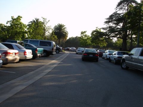 1993 Ford Taurus - A parking lot scene with several cars parked and trees in the background.