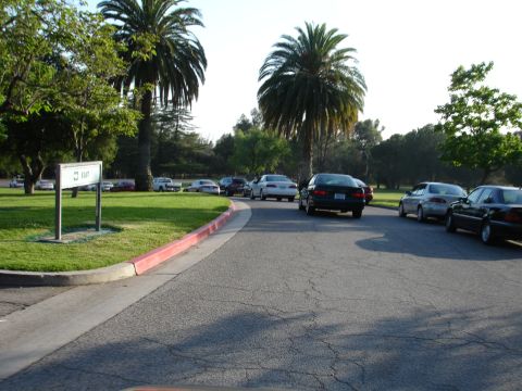 1993 Ford Taurus - A scene of a parking lot with multiple vehicles under palm trees, an exit sign is visible.
