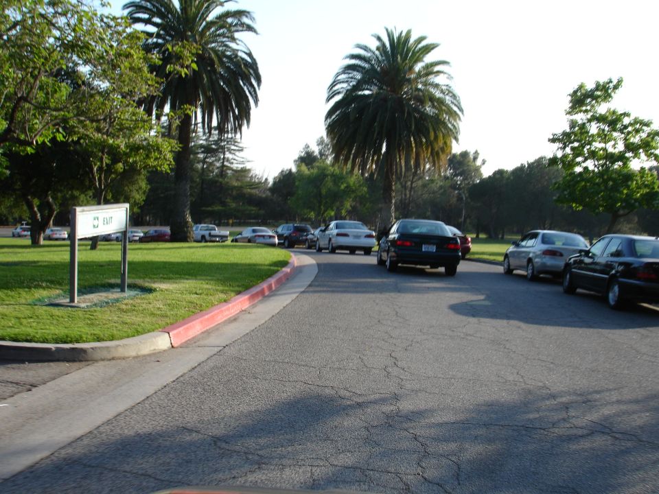 Cars parked in a lot with palm trees and an exit sign