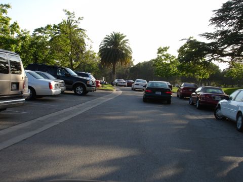 1993 Ford Taurus - A variety of vehicles are parked in a lot, with trees and a palm tree in the background.