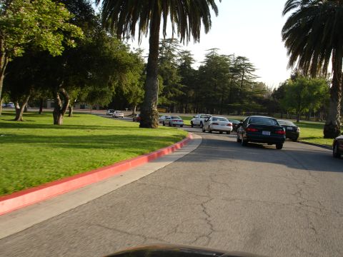 1993 Ford Taurus - Multiple vehicles are seen driving on a road in a park-like setting with trees and grass.