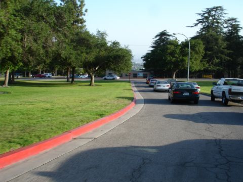 1993 Ford Taurus - Multiple vehicles are seen on a road in a park-like setting with trees and grass.
