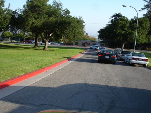 1993 Ford Taurus - A line of cars drives down a paved road bordered by a grassy area and trees under a clear sky.