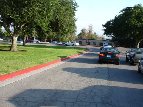 1993 Ford Taurus - A dark green sedan is seen from behind, with other vehicles around it on a sunny day.
