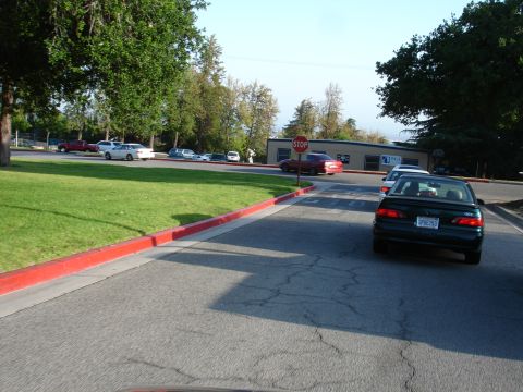 1993 Ford Taurus - A dark green sedan is seen from the rear, with other vehicles and a stop sign in the background.