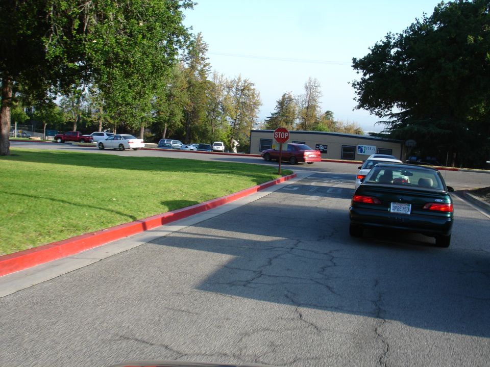Dark green sedan from rear, license plate visible