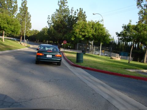 1993 Ford Taurus - A green sedan is seen from behind driving down a suburban road with a red curb and grassy areas.