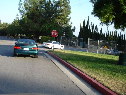1993 Ford Taurus - Two cars approach a stop sign on a sunny day with a line of cypress trees behind a fence.