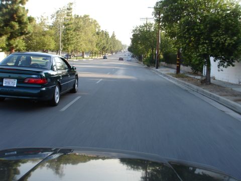 1993 Ford Taurus - A green sedan is seen from behind on a tree-lined street.