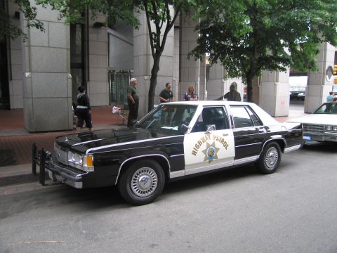 1991 Ford LTD Crown Victoria - black-and-white Highway Patrol sedan with gold star door shield is parked along a tree-lined downtown curb as people pass by.