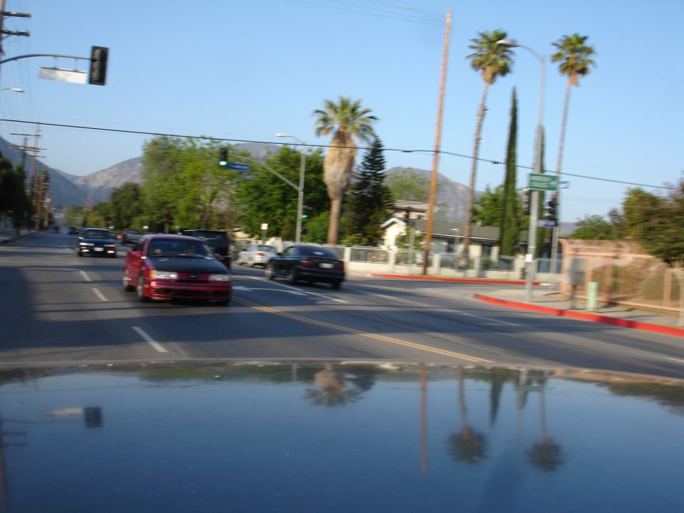 1993 Ford Taurus driving on a street, red with black hood. Other cars and palm trees visible