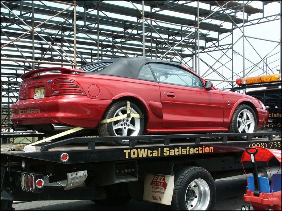 Red convertible Mustang Cobra on a tow truck, rear view. License plate reads 51 DLM