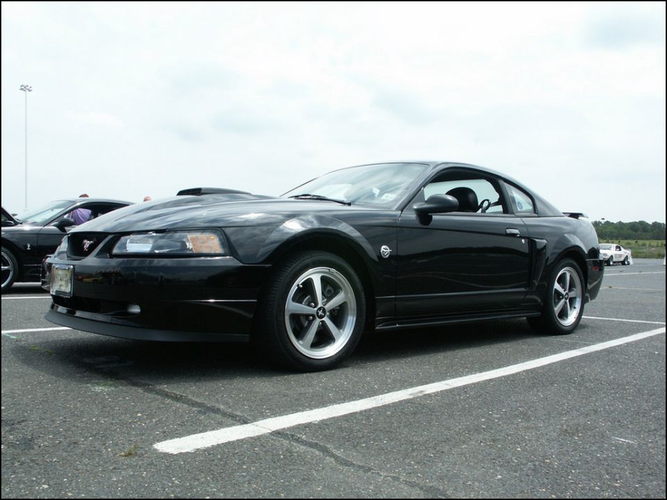 Black Ford Mustang with a hood scoop, parked in a lot